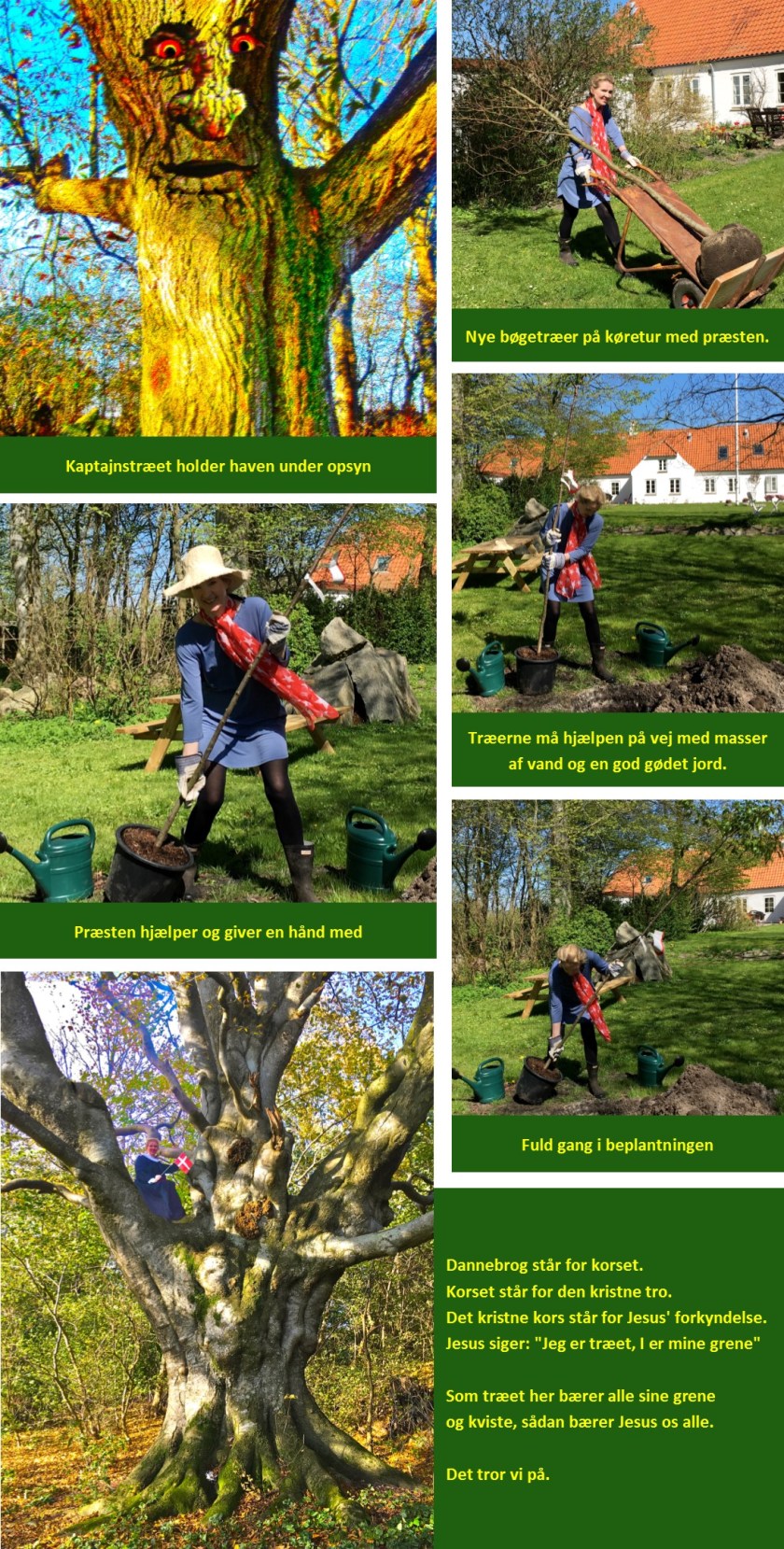 artikel træenigheden 1